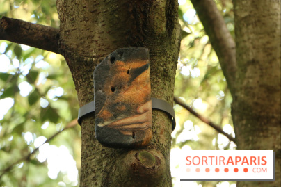 Voyage d'Hiver, l'expo contemporaine du Château de Versailles