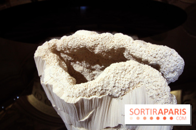 Un monde de plis à la chapelle Expiatoire