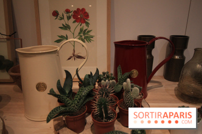 Le pop-up Store de Bergamotte