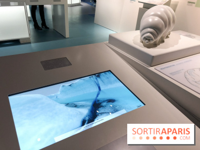 Froid à la Cité des Sciences