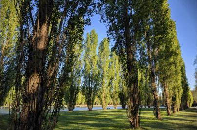 Les meilleures randonnées pour chiller au bord de l'eau près de Paris