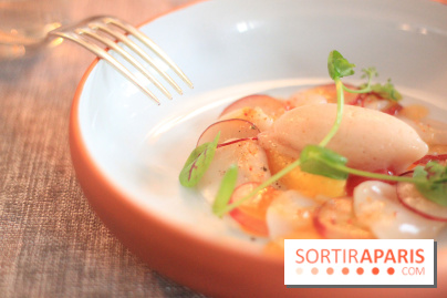 Les Tantes Jeannes : les photos