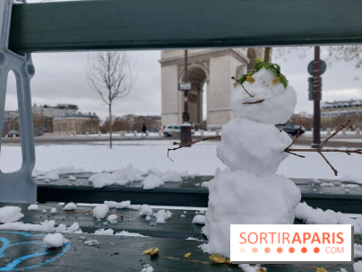 La Neige à Paris - 20260107 123615