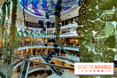 Exposition Monstera Dubia à Beaugrenelle