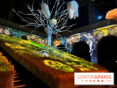 JO de Paris 2024: Les médailles d'or, d'argent et de bronze de la Serbie aux Jeux Olympiques