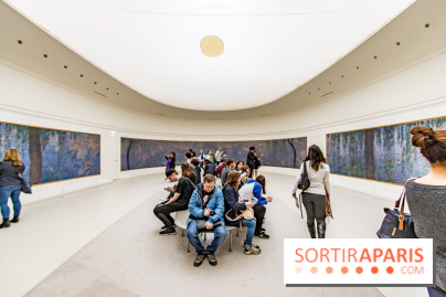 Les Nymphéas et artistes abstraits au Musée de l'Orangerie