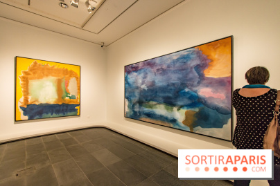 Les Nymphéas et artistes abstraits au Musée de l'Orangerie