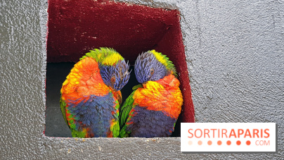 Zoo de Thoiry 2018 : les photos