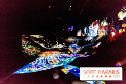 Teamlab : au delà des limites à la Villette, les photos