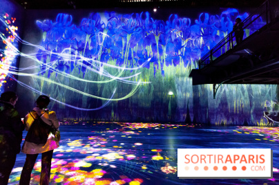Teamlab : au delà des limites à la Villette, les photos