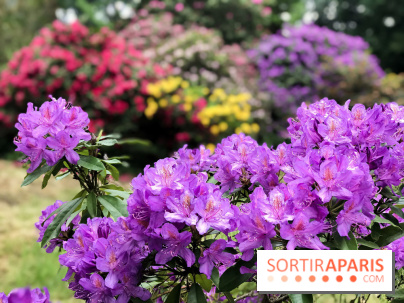 L'Arboretum de Versailles - Chevreloup