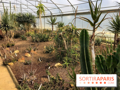 L'Arboretum de Versailles - Chevreloup