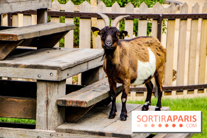 Le Jardin d'Acclimatation dévoile son nouveau visage et ses attractions, les photos
