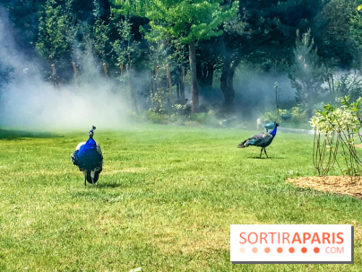Le Jardin d'Acclimatation dévoile son nouveau visage et ses attractions, les photos