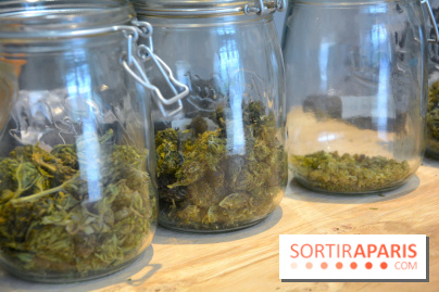 Le Lab du bonheur à Paris, un Coffee Shop CBD bien-être 