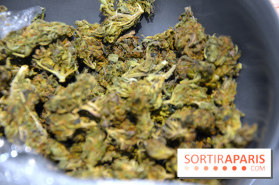 Le Lab du bonheur à Paris, un Coffee Shop CBD bien-être