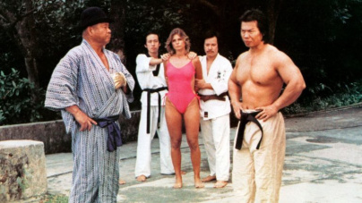 La Nuit Nanarland 4 au Grand Rex