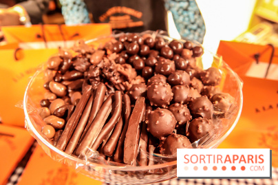 Maison Plisson 2, inauguration