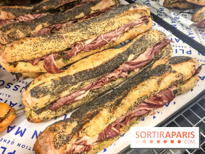 Maison Plisson 2, inauguration