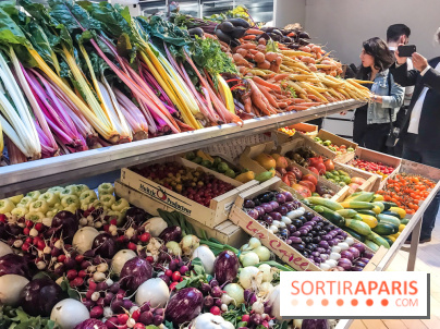 Maison Plisson 2, inauguration