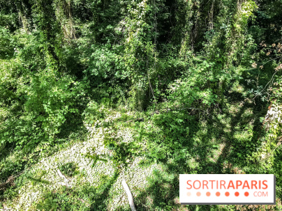 AccroCamp, l'accrobranche des Boucles de Seine