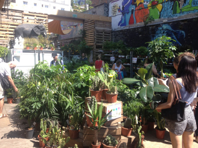 Grande Vente de Plantes dès 2€ !