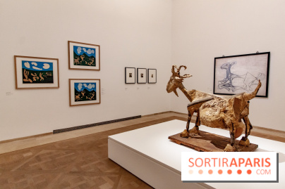 Les chefs d'œuvre de Picasso au Musée Picasso, photos