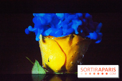Colours X Colours, l'installation immersive à l'Atelier des Lumières