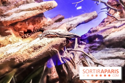 Poison au Palais de la Découverte, les photos 