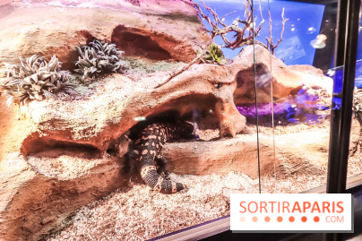 Poison au Palais de la Découverte, les photos