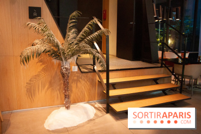 Reality Check au Cinq Codet