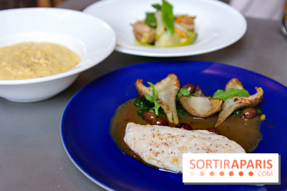Cucina, Ducasse à la Maison de la Mutualité : bar rôti, polenta et légmumes