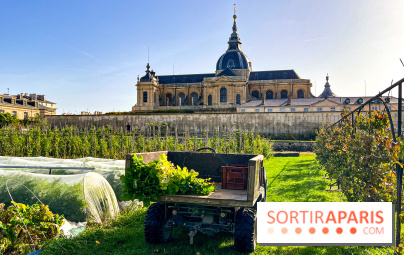 Les Saveurs du Potager du Roi à Versailles : marché de fruits & légumes, expositions et animations