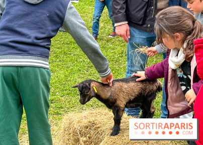 Festival de la Terre 2026 à Montesson (78) : marché des saveurs, ateliers jardinage & ferme pédagogique