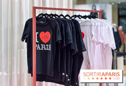 Céline Dion à Paris : T-shirts, vinyles, macarons… un pop-up ouvre à Haussmann - avis et photos