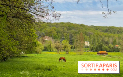 La balade-randonnée bucolique de Jouy-en-Josas à l'Aqueduc de Buc (78), à faire en famille