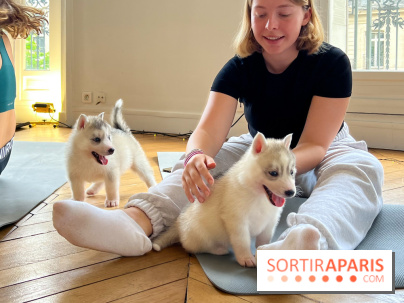 Puppy Yoga Paris, des séances de yoga tout en câlins avec d'adorables chiots - Prochaines dates