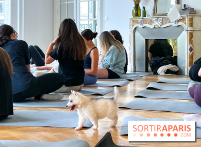 Puppy Yoga Paris, des séances de yoga tout en câlins avec d'adorables chiots - Prochaines dates