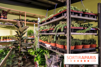 Bergamotte, le lieu de vie dédié au végétal