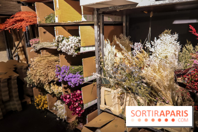 Bergamotte, le lieu de vie dédié au végétal