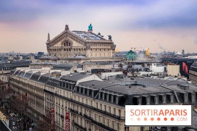 Visuel Paris Palais Garnier