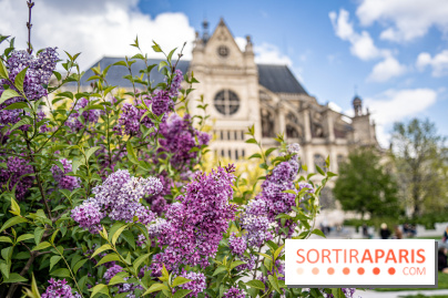 Visuel Paris Jardin Nelson Mandela Eglise Saint Eustache