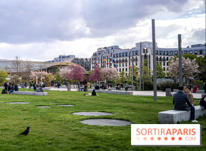 Visuel Paris Jardin Nelson Mandela cerisiers en fleurs