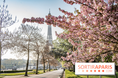 Visuel Paris Tour Eiffel cerisiers en fleurs