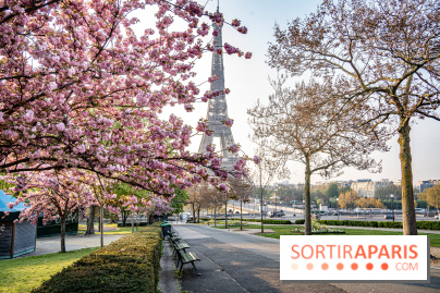 Visuel Paris Tour Eiffel cerisiers en fleurs