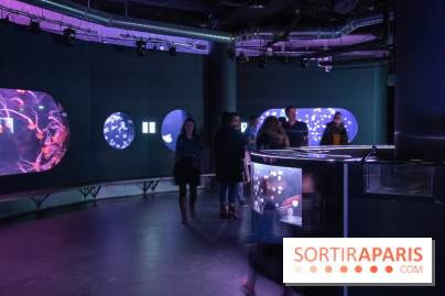 L'Aquarium de Paris ouvre son Médusarium