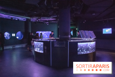 L'Aquarium de Paris ouvre son Médusarium