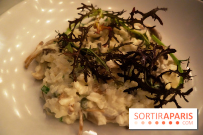 Tous : restaurant bistronomique à Paris, les photos