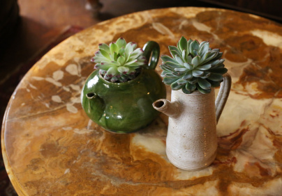 The Blond Cactus, quand le cactus passe en mode vintage