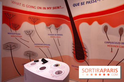 Dans ma peau au Musée de l'Homme : nos photos